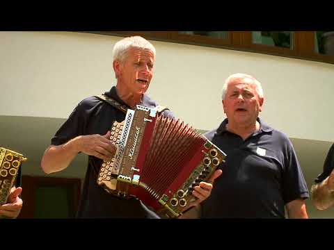 MYJAVSKÍ HELIGÓNKARI - Koníčky moje šedé