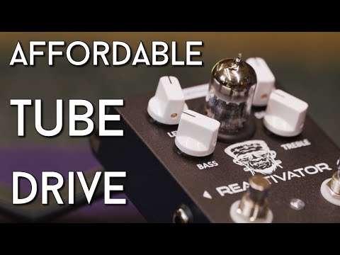 Is THAT safe? Hagerman Reactivator Review