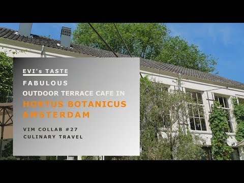 THE FABULOUS OUTDOOR TERRACE CAFE IN AMSTERDAM (VIM COLLAB #27 - CULINARY TRAVEL)