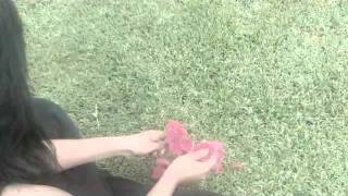 Ricardo Arjona De vez en mes video oficial