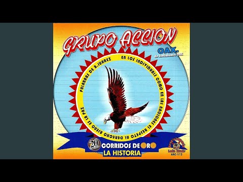 Corrido La Lobo Del Ano