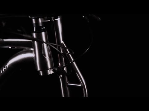 Van Nicholas Revelstoke