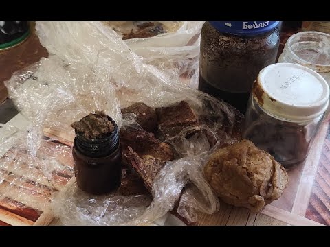 Приманка для пчелиных роёв.Средство для ловли роев.Самодельный Апирой ч.2 #Роеловство #Эксклюзив