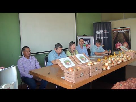 Gobernación de Itapúa apoya la primera edición de la Fiesta de la Cebolla
