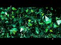 Emeralds Slowed PR1SVX