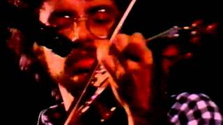 "free d" anger, marshall, hedges, phillips