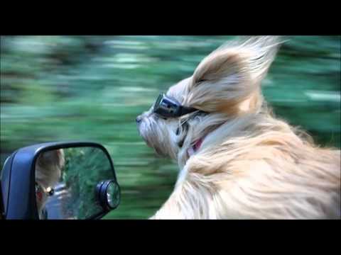 Adam Nickey - In Motion (BluEye Bootleg)