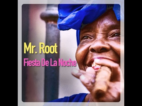 Mr. Root - Fiesta De La Noche (Radio Cut)