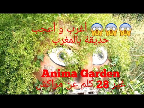أجمل حدائق مدينة مراكش المغربية