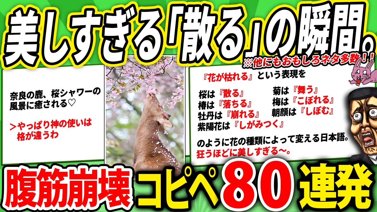 「散る」を知る。桜に魅せられた日本人たちが大集合した件（※腹筋崩壊コピペ80連発は「まったりお花見コピペ80連発」でお願いします！