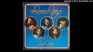 The Beach Boys - Talk To Me - Vinyl Rip