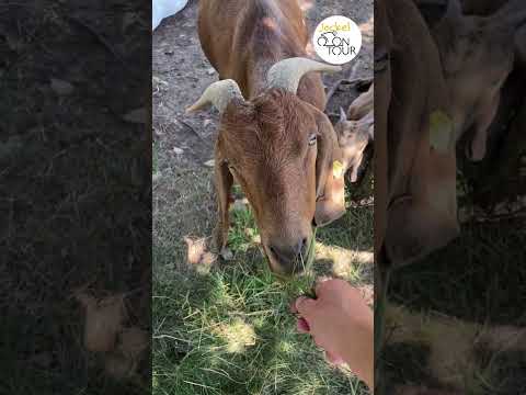 Jockel on Tour - Himmelsthür: Dem Himmel so nah!