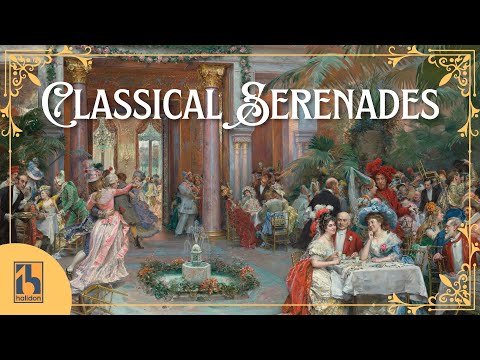 Classical Serenades | Mozart, Tchaikovsky, Schubert...