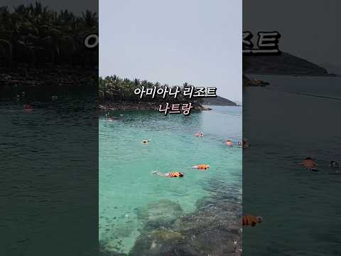 아이랑 베트남여행 아미아나리조트 나트랑 프라이빗 해변에서 스노쿨링 즐기기