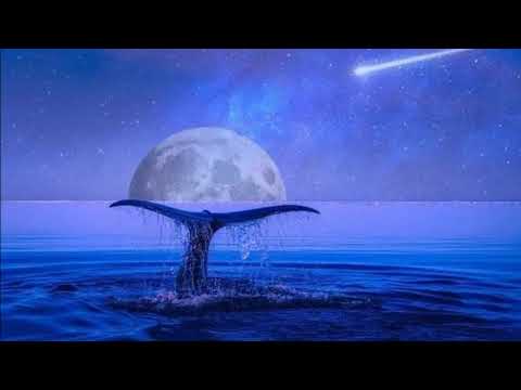 V.Blodek-V studni-In the Well-Intermezzo