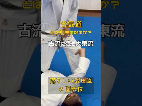 合気道とは別物⁉︎古流に残る大東流合気柔術〜武田流固め編
