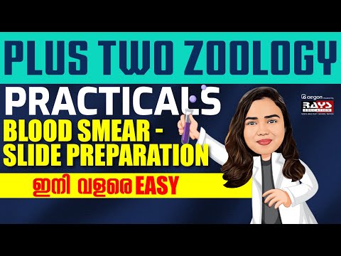 ZOOLOGY PRACTICALS | PLUS TWO BIOLOGY MODEL, PUBLIC EXAMS-BLOOD SMEAR SLIDE PREPARATION | RAYS AEGON