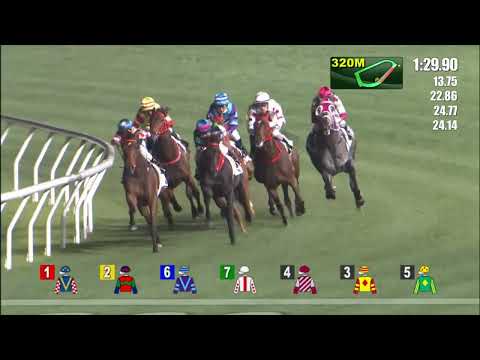 6/4/2022 (560) Charity Go - Matthew Poon