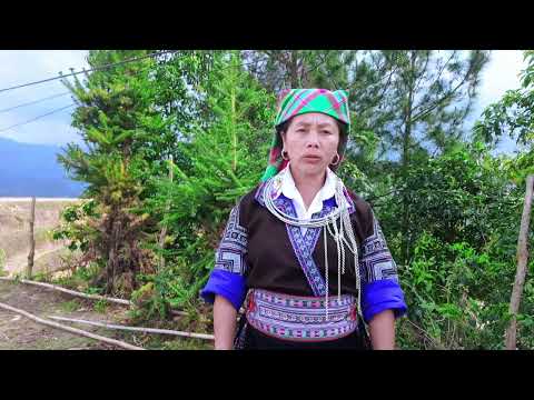 ZEB YAJ KWV TXHAJ NKAUJ NRAUG KEV DEB  21/4/2025