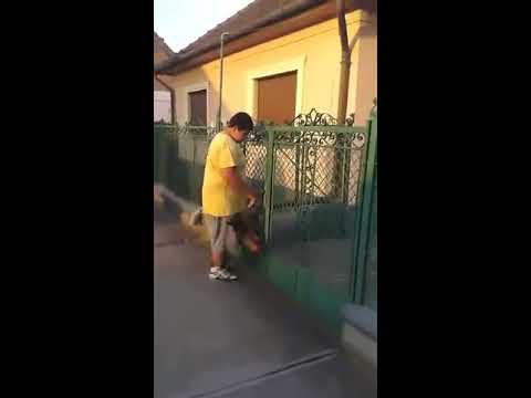 ZsaniSzekretar’s Video 128119857352 IGCmYEonIZk