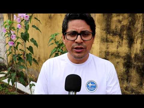 COMBATE A DENGUE EM TERRA NOVA