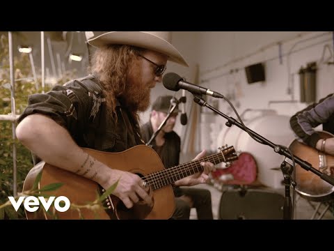 Brothers Osborne - Pushing Up Daisies (Love Alive) (Terrapin Care Station Sessions)