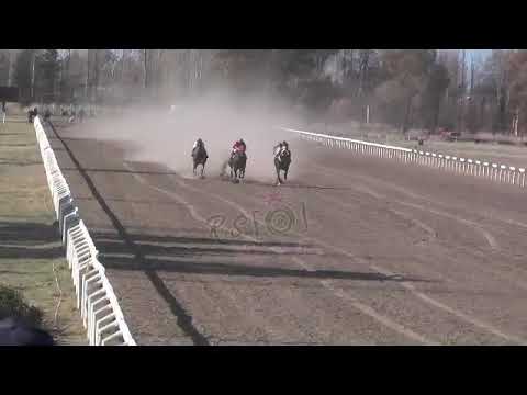 BELTRAN   11°   NEGRITO   3-9-23