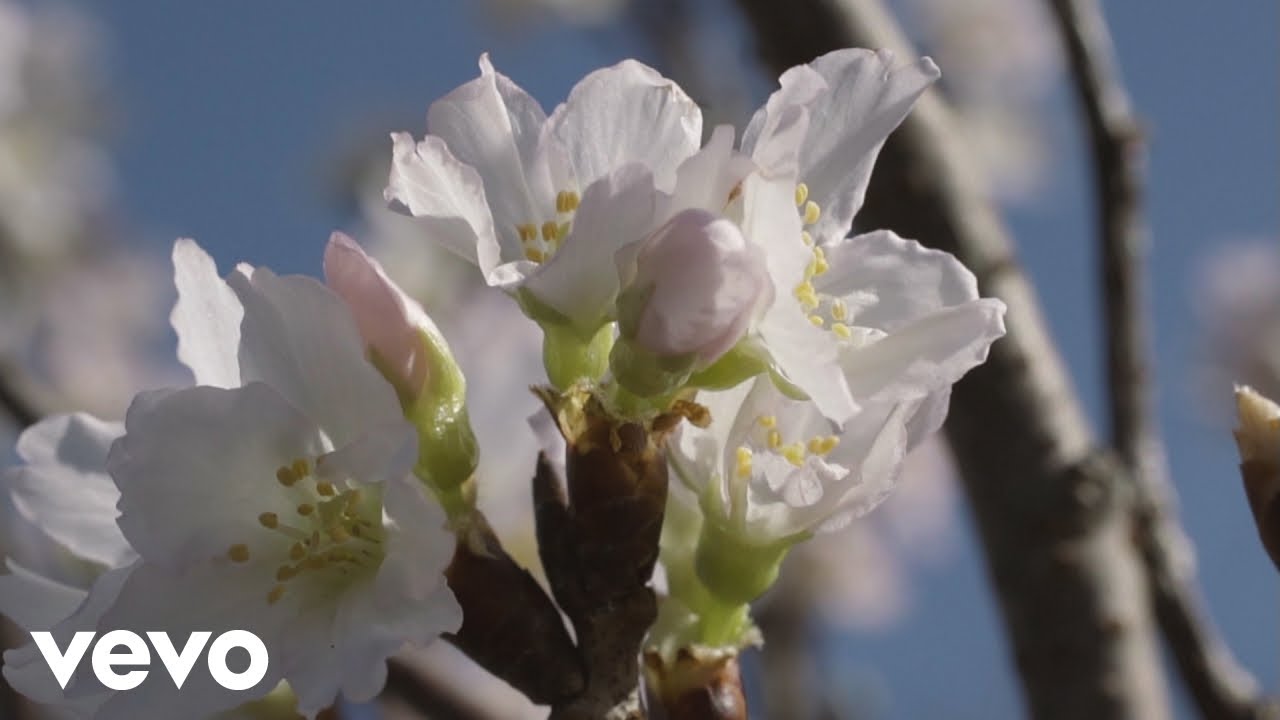 GReeeeN - キミマツ (Full Ver.)