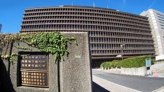 【衝撃】「また別の犬を…」複数のペットを飼い続ける飼い主に裁判官が異例の苦言…その理由に騒然！