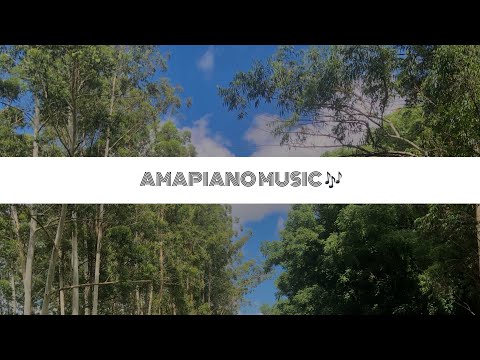 Ka Valungu Ft. Dj Maphorisa (Music Video)