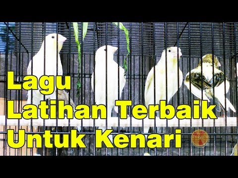 Berapa banyak seorang pria datang impotensi Forum impotensi psikologis