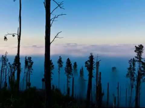 La Voz Del Pueblo FT L.S.D. Defectos