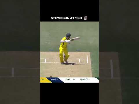 Steyn Gun...🔫🗿