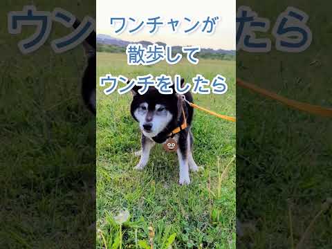 石庭ボーダー2023