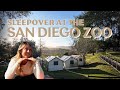Ultimate San Diego Zoo Safari Park Experience Overnight Camping