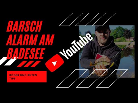 Barsch-Alarm am Badesee! Schlag auf Schlag mit Spinner, Jigs und Wobbler!