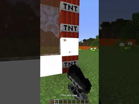 Did you know this secret feature in Minecraft? 234 IQ #shorts #minecraft