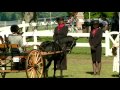 Villa Louis Carriage Competition Return People To The 1800 S