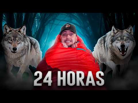 24 Hours with Iberian Wolves!