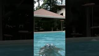 TikTok Viral #80 #tiktok #bikinibodies #bikini #shorts #tiktokcompilation