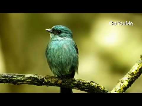 মুছে যাওয়া দিনগুলি আমায় যে পিছু ডাকে -