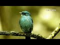 মুছে যাওয়া দিনগুলি আমায় যে পিছু ডাক�