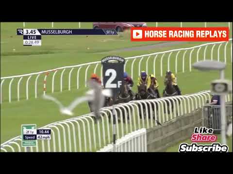 Profitable Edge / 4 Race Musselburgh 23 Jul 2024