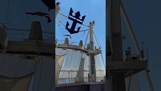 55 feet dive on Symphony of the Seas. #cruise #diving #trip #travel #royalcaribbean #fun #show