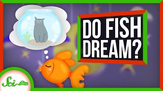 Do Fish Dream?
