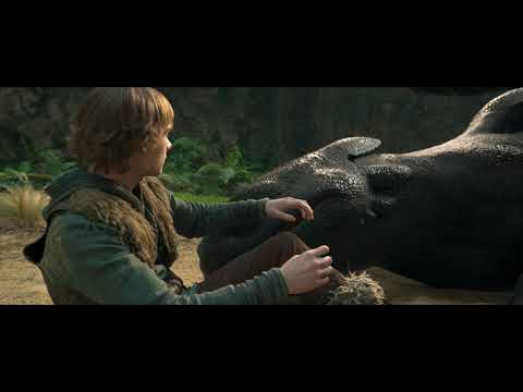 All About Toothless