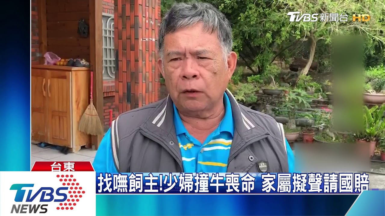 找嘸飼主!少婦撞牛喪命 家屬擬聲請國賠