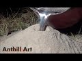Casting a Fire Ant Colony with Molten Aluminum ...
