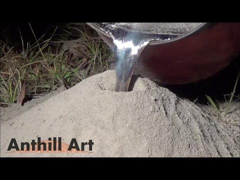 Casting a fire ant colony with molten aluminum (cast 043)