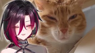 10 Minutes of Mykora's hardest laughs